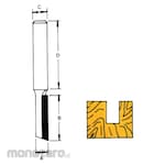Solid Tool 101 Series Straight Bits