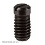 BOSCH Grab Screw