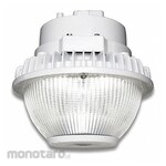 EVOLVE Canopy Light