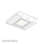 LITHONIA LIGHTING Canopy Light