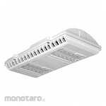 LITHONIA LIGHTING Pendant Canopy Light