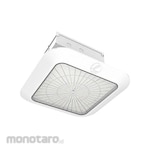 LITHONIA LIGHTING Petroleum Canopy