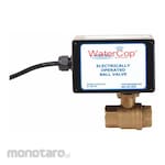 WATERCOP Electrically Actuated Ball Valves