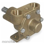 DAYTON Pedestal-Mount Flexible Impeller Utility Pump