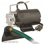 FLINT WALLING Corded Utility Pump