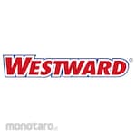 WESTWARD Planetary Gear
