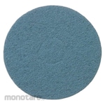 ABILITY ONE Scrubbing Pad