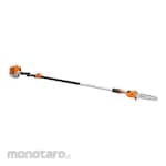 Stihl Pole Pruner