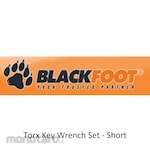 BLACKFOOT Torx Key Wrench Set