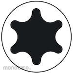 BONDHUS torx screwdriver