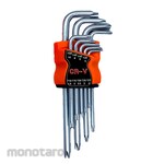 K55 Long Length Torx Hex Key