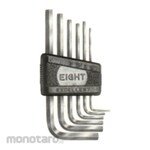 EIGHT Standard Length Hex Key Wrench Set Hard Chrome Plated with Plastic Holder