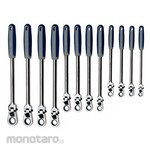 BluePoint Locking Flexible Head Ratchet Combination Wrench