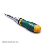 SATA 19 in 1 Interchangeable Ratchet Set