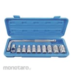 BENZ WERKZ Socket Wrench Set (Set Kunci Sok)
