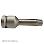 APEX Torx Bit