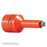 APEX Driver Bit Torx
