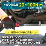 EMERSON Torque wrench 20-100N.m