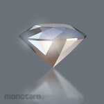 WERA Driver Bit (Diamond Coated, Impact)