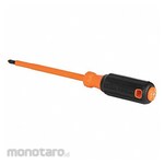 KLEIN TOOLS Insulated Screwdriver, 2 PH