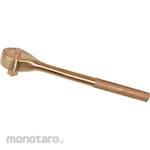 BAXNO Explosion-Proof Switching Ratchet Handle