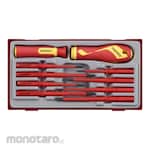 Teng Tools Insulated Screwdriver Blade Set (Obeng Insulasi)
