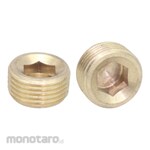 ALDO Nepel Plug Hexagon