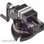 Toyo Associates Centering swivel vice