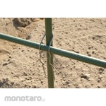 DAIM Naname Cross Band