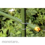 DAIM Vegetable Garden Cross Band