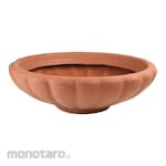 Claris Pot Bunga Teratai