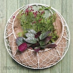 Daido Craft Mesh PLAnter Crescent Linen