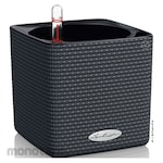 LECHUZA Planter CUBE Color