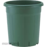 appleware Rose Bowl Green
