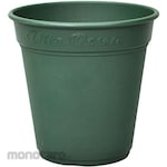 appleware Rosea Pot
