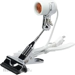Asahi Lamp New Clip Stand