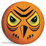 BIRD-X Visual Bird Repellent