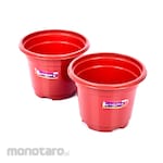 Lucky Star Seedling Flower Pot