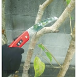 GS Pruning Saw