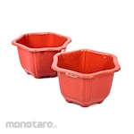 Lucky Star Flowerpot