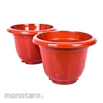 Lucky Star Jasmine Flowerpot