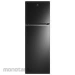 Electrolux Ultimate Taste 300 Top Freezer Refrigator