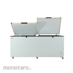 Fresta Freezer Chest 2 Door (Lemari Pembeku)