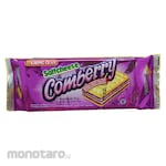 Khong Guan Saltcheese Comberry Biskuit