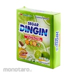 Segar Dingin Minuman Suplemen Instan