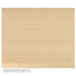 EBM Fluororesin Processed Sheet 10