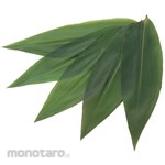 EBM Natural Bamboo Leaf