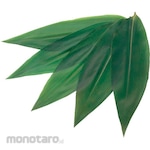 TKG Vacuum Leaf