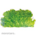 Universe Gourmet Sheet Green Leaf Circle