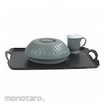CARLISLE DINEX Tray